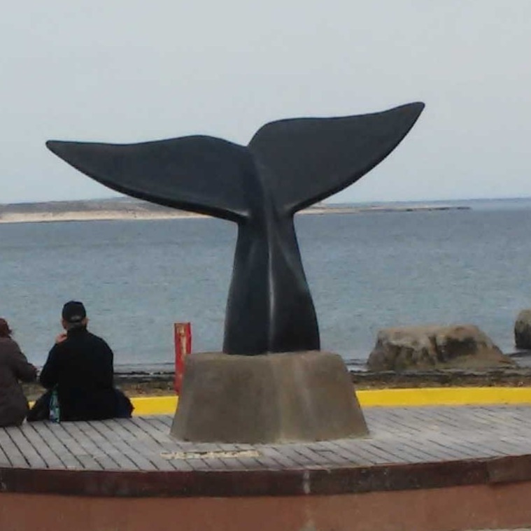 Cola de Ballena