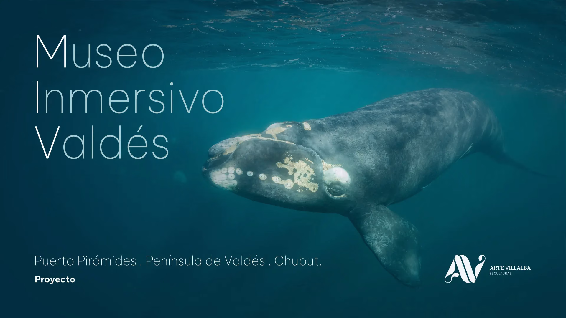 Proyecto de Museo Inmersivo en Valdes